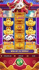 7777W · Fortune Rabbit
